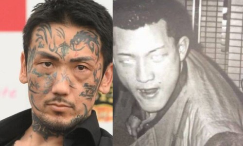 枇杷叶煮水喝的功效网枇杷叶煮水喝的功效与作用和归经知识网站,分享枇杷叶煮水喝的功效与禁忌大全